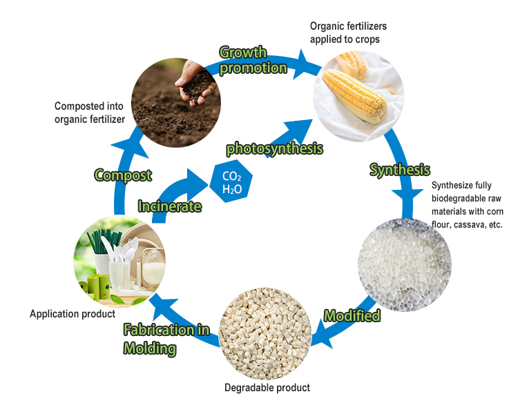 PLA resin granule